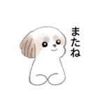 Stickers_Shih Tzu_j シーズースタンプ（個別スタンプ：19）