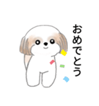 Stickers_Shih Tzu_j シーズースタンプ（個別スタンプ：22）