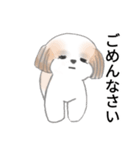 Stickers_Shih Tzu_j シーズースタンプ（個別スタンプ：23）