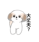 Stickers_Shih Tzu_j シーズースタンプ（個別スタンプ：24）