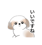 Stickers_Shih Tzu_j シーズースタンプ（個別スタンプ：25）