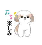 Stickers_Shih Tzu_j シーズースタンプ（個別スタンプ：26）