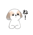 Stickers_Shih Tzu_j シーズースタンプ（個別スタンプ：28）