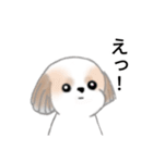 Stickers_Shih Tzu_j シーズースタンプ（個別スタンプ：30）