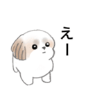 Stickers_Shih Tzu_j シーズースタンプ（個別スタンプ：31）