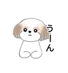 Stickers_Shih Tzu_j シーズースタンプ（個別スタンプ：32）