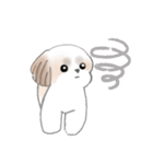 Stickers_Shih Tzu_j シーズースタンプ（個別スタンプ：33）