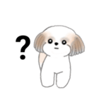 Stickers_Shih Tzu_j シーズースタンプ（個別スタンプ：35）