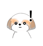 Stickers_Shih Tzu_j シーズースタンプ（個別スタンプ：36）