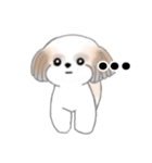 Stickers_Shih Tzu_j シーズースタンプ（個別スタンプ：37）