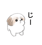 Stickers_Shih Tzu_j シーズースタンプ（個別スタンプ：40）