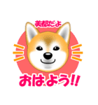 柴犬美都アコちゃんのスタンプだよ。（個別スタンプ：1）