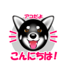 柴犬美都アコちゃんのスタンプだよ。（個別スタンプ：2）