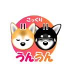 柴犬美都アコちゃんのスタンプだよ。（個別スタンプ：6）