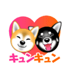 柴犬美都アコちゃんのスタンプだよ。（個別スタンプ：8）