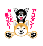 柴犬美都アコちゃんのスタンプだよ。（個別スタンプ：10）