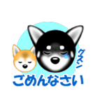 柴犬美都アコちゃんのスタンプだよ。（個別スタンプ：11）