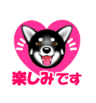 柴犬美都アコちゃんのスタンプだよ。（個別スタンプ：13）