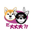 柴犬美都アコちゃんのスタンプだよ。（個別スタンプ：17）