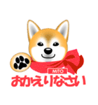 柴犬美都アコちゃんのスタンプだよ。（個別スタンプ：22）