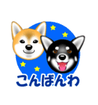 柴犬美都アコちゃんのスタンプだよ。（個別スタンプ：29）