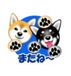 柴犬美都アコちゃんのスタンプだよ。（個別スタンプ：31）