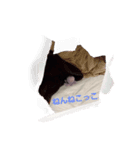 ひまタコスタンプ（個別スタンプ：1）