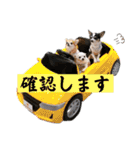 京＆ルナ すたんぷ（個別スタンプ：4）