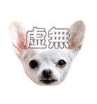 京＆ルナ すたんぷ（個別スタンプ：17）