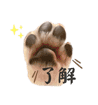 京＆ルナ すたんぷ（個別スタンプ：35）