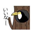 オニオオハシ1（個別スタンプ：5）