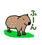 カピバラ生活スタンプ3（個別スタンプ：2）