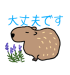 カピバラ生活スタンプ3（個別スタンプ：6）