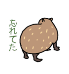 カピバラ生活スタンプ3（個別スタンプ：27）