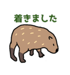 カピバラ生活スタンプ3（個別スタンプ：36）