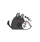 チンチラちゃんとハムちゃん（個別スタンプ：13）