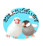 【文鳥】動く！ペットたち（個別スタンプ：5）