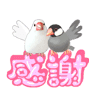 【文鳥】動く！ペットたち（個別スタンプ：10）