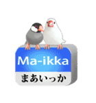 【文鳥】動く！ペットたち（個別スタンプ：22）