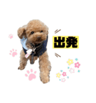 コタロースタンプ5（個別スタンプ：20）