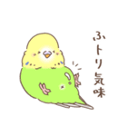 すこやかインコ5 〜ダジャレver.〜（個別スタンプ：35）