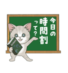 仔猫のぽんにゃん【学校編】（個別スタンプ：13）