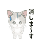 仔猫のぽんにゃん【学校編】（個別スタンプ：27）