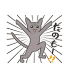 40匹のねこの、みんなでごきげんよう！（個別スタンプ：1）