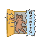 40匹のねこの、みんなでごきげんよう！（個別スタンプ：31）