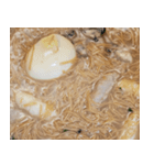 食品シリーズ : カキ入りそうめん #1（個別スタンプ：1）