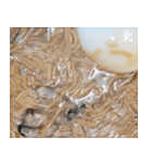 食品シリーズ : カキ入りそうめん #1（個別スタンプ：3）