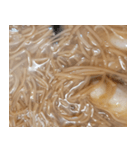 食品シリーズ : カキ入りそうめん #1（個別スタンプ：4）