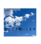 青空の日常スタンプ挨拶仕事学校家族（個別スタンプ：7）