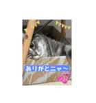うりきなスタンプ①（個別スタンプ：18）